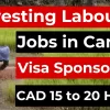 Over 200 Farm Workers Needed Urgently Across Canada for Harvesting – Free Visa Sponsorship Available, Apply Now