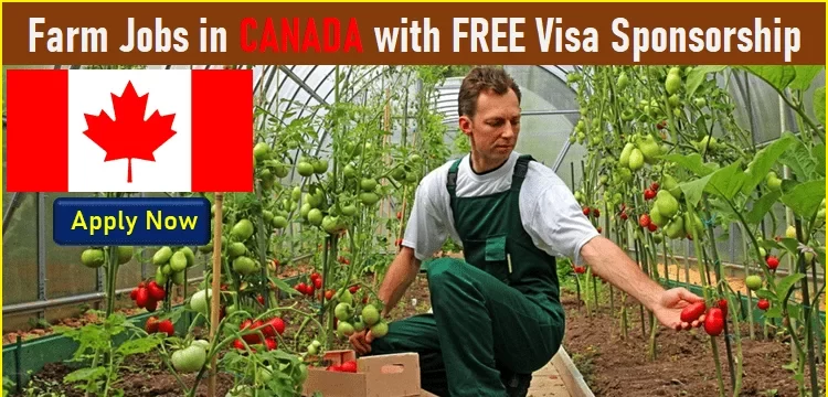 Fruit Farm Worker Jobs Openings For Foreigners With Free Visa ...